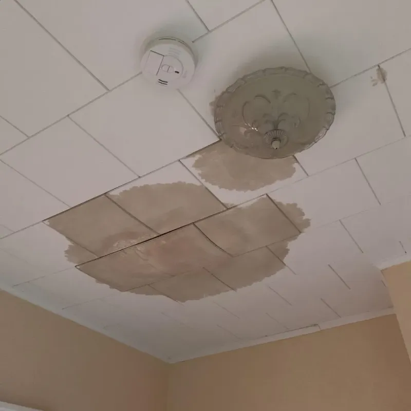 Ceiling Water Damage Repair in Aspermont, TX